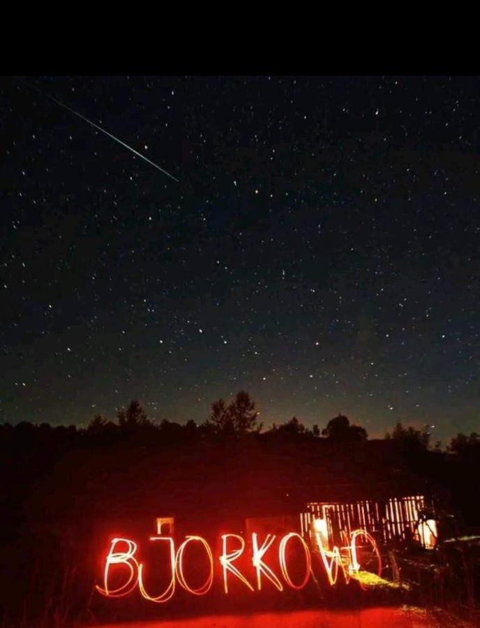 Bjorkowo Villa Polańczyk Exteriör bild