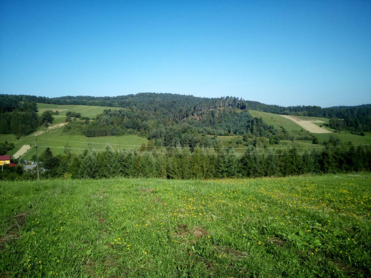 Bjorkowo Villa Polańczyk Exteriör bild